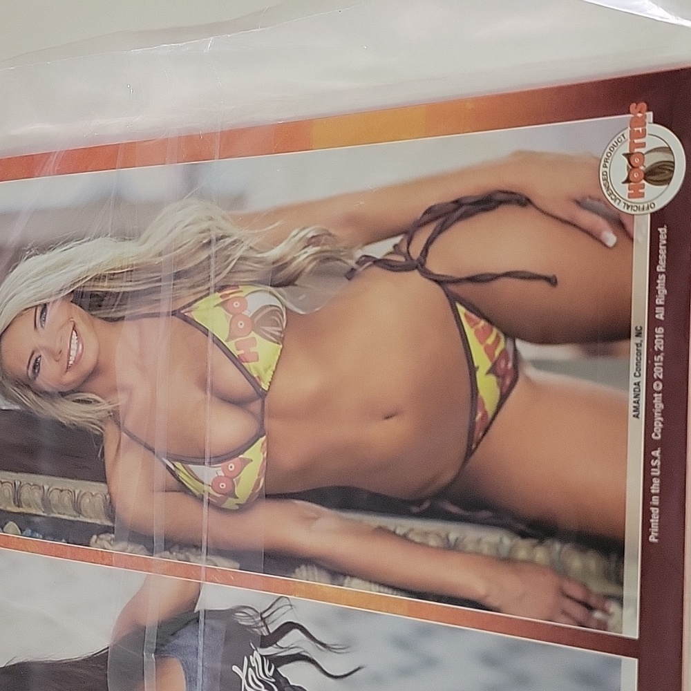 New-sealed Never Used HOOTERS Collection Calendar Girls 2016 - Picture 11 of 14